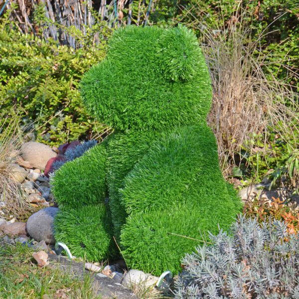 ANIPLANTS Grasfigur Bär